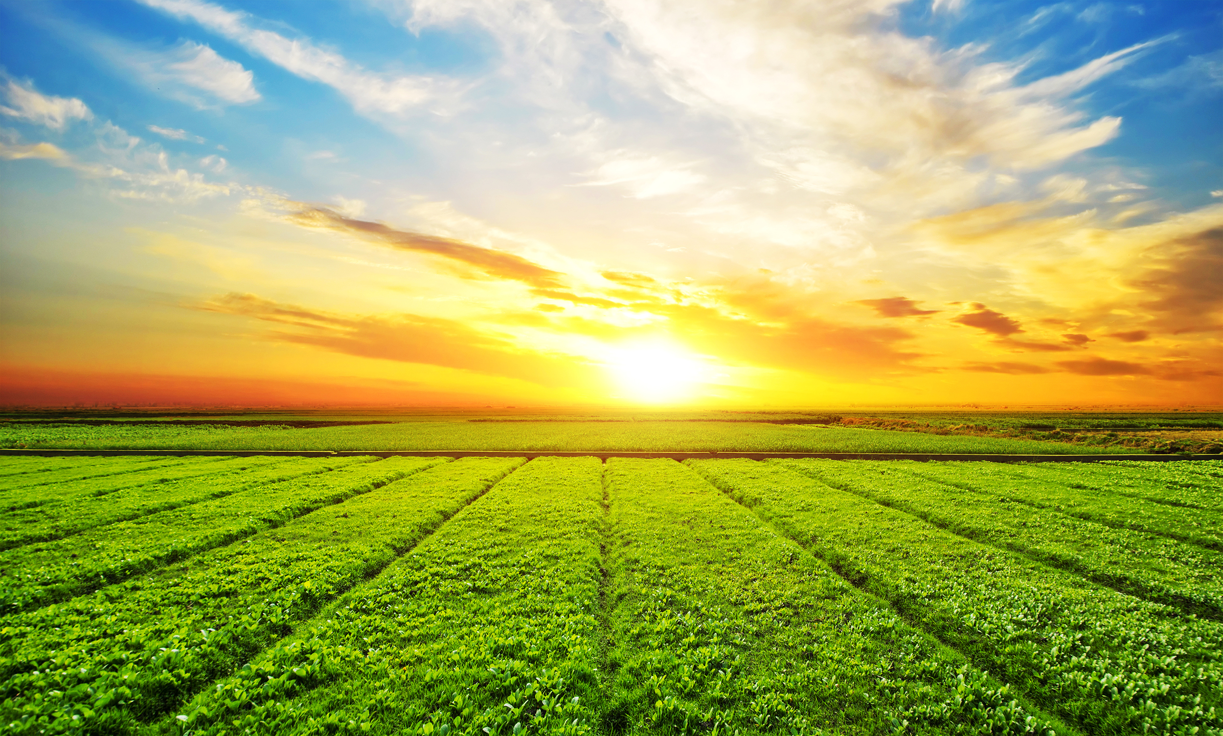 Prensa. De la tierra al consumidor. Auren anuncia la creación de una plataforma de servicios 360 en agribusiness